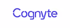 Cognyte